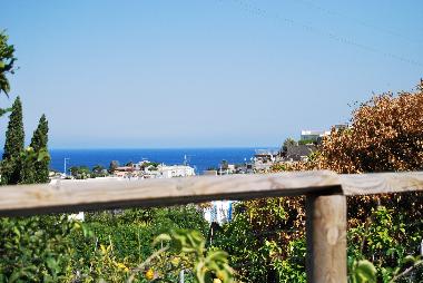 Holiday House in forio (Napoli) or holiday homes and vacation rentals