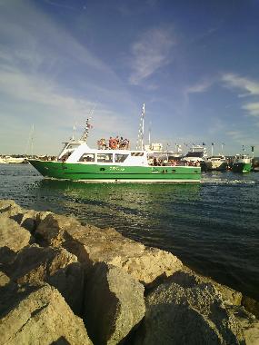 Holiday Apartment in sainte maxime (Var) or holiday homes and vacation rentals