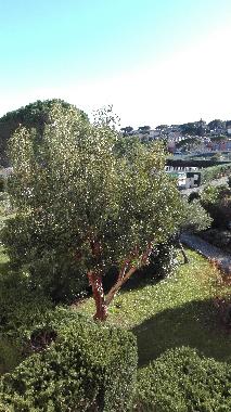 Holiday Apartment in sainte maxime (Var) or holiday homes and vacation rentals