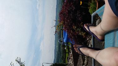 Holiday Apartment in Oberleichtersbach / Mitgenfeld (Lower Franconia) or holiday homes and vacation rentals