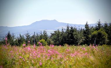 Holiday House in chambon sur lignon (Haute-Loire) or holiday homes and vacation rentals