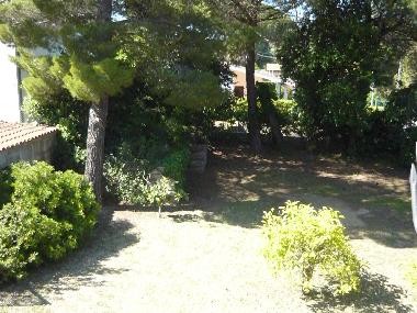 Holiday Apartment in cavo rio marina (Livorno) or holiday homes and vacation rentals