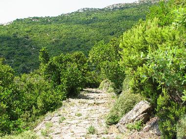 Holiday Apartment in cavo rio marina (Livorno) or holiday homes and vacation rentals