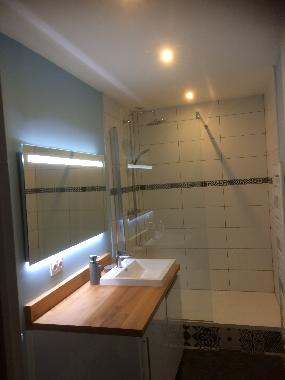 Holiday Apartment in 76000 (Seine-Maritime) or holiday homes and vacation rentals