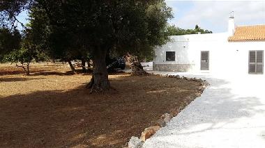 Holiday House in SERRANOVA (Brindisi) or holiday homes and vacation rentals