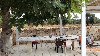 Holiday House in SERRANOVA (Brindisi) or holiday homes and vacation rentals