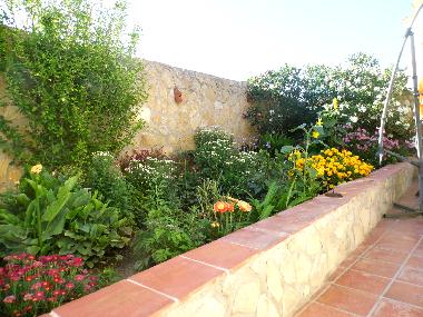 Holiday Apartment in Calpe (Alicante / Alacant) or holiday homes and vacation rentals