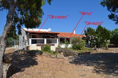 Villa in Sant'Antioco (Carbonia-Iglesias) or holiday homes and vacation rentals