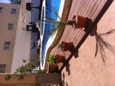 Holiday Apartment in almoradi (Alicante / Alacant) or holiday homes and vacation rentals