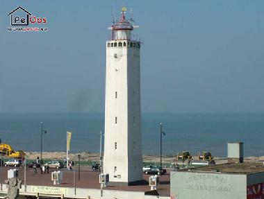Holiday Apartment in Noordwijk aan Zee (Zuid-Holland) or holiday homes and vacation rentals
