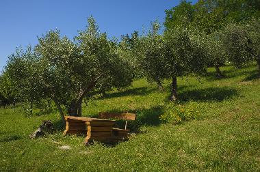 Holiday Apartment in Ripatransone (Ascoli Piceno) or holiday homes and vacation rentals