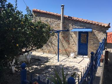 Front view of the house and patio garden