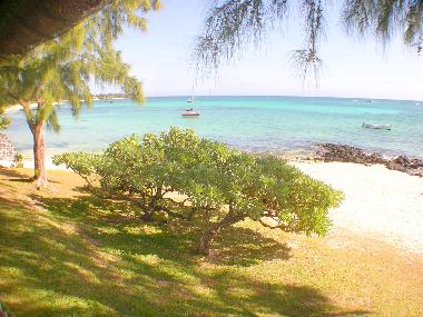 Villa in Grand Baie (Grand Baie) or holiday homes and vacation rentals