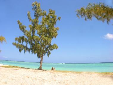 Holiday House in Le Morne (Black River) or holiday homes and vacation rentals