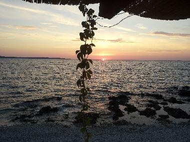 Holiday House in Island of Silba (Zadarska) or holiday homes and vacation rentals