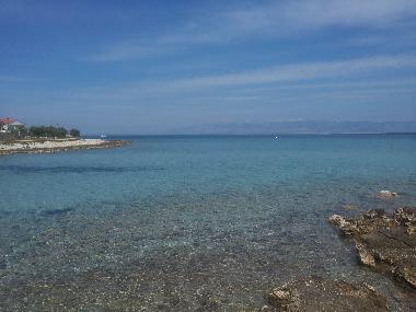 Holiday House in Island of Silba (Zadarska) or holiday homes and vacation rentals