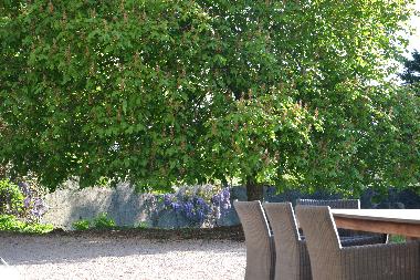 Holiday House in La Pacaudiere (Loire) or holiday homes and vacation rentals