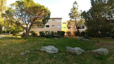 Holiday Apartment in Calvi (Haute-Corse) or holiday homes and vacation rentals
