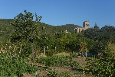 The private gardens, le Jardin, the people of Vailhan have their own vegetable garden plots, nice to