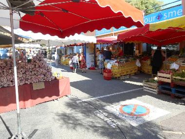 Villa in Les Issambres (Var) or holiday homes and vacation rentals