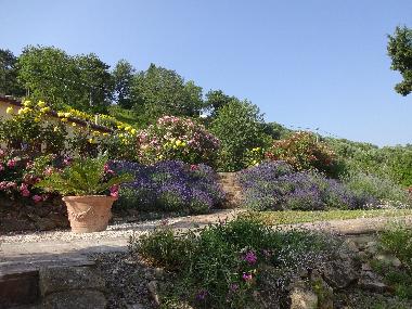 Holiday House in Staffolo (Ancona) or holiday homes and vacation rentals