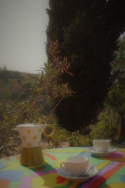 Holiday House in Staffolo (Ancona) or holiday homes and vacation rentals