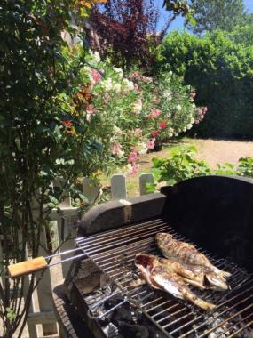 Holiday Apartment in lamalou les bains (H�rault) or holiday homes and vacation rentals