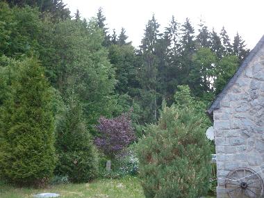 Holiday House in Geiersthal (Lower Bavaria) or holiday homes and vacation rentals