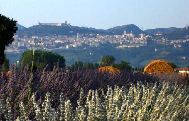 Holiday Apartment in bastia umbra (Perugia) or holiday homes and vacation rentals