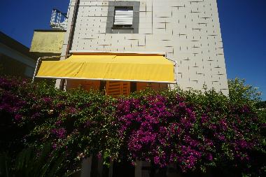 Holiday Apartment in Terracina (Latina) or holiday homes and vacation rentals