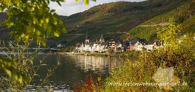 Bed and Breakfast in Briedel (Mosel - Saar) or holiday homes and vacation rentals