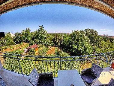 Holiday Apartment in Rovinj (Istarska) or holiday homes and vacation rentals