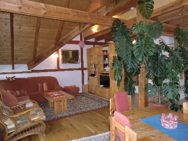 Holiday Apartment in Hattgenstein (Hunsrck - Nahe) or holiday homes and vacation rentals