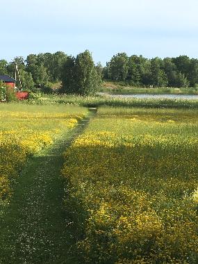 Part of the cottage seen in the upper left corner of photo