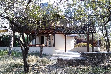 House and pool seen from the bush