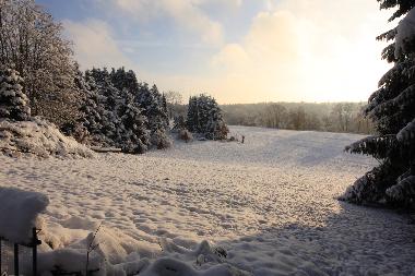 Holiday House in Hohegei� (Harz) or holiday homes and vacation rentals
