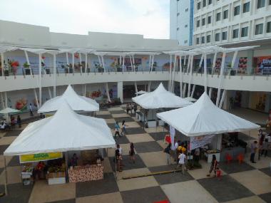 Bed and Breakfast in Davao City, Philippines (Davao City) or holiday homes and vacation rentals