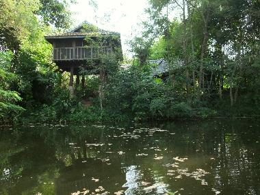 Chalet in Chiang Mai (Chiang Mai) or holiday homes and vacation rentals