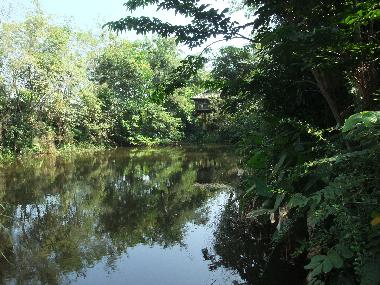 Chalet in Chiang Mai (Chiang Mai) or holiday homes and vacation rentals