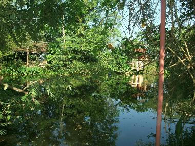 Chalet in Chiang Mai (Chiang Mai) or holiday homes and vacation rentals