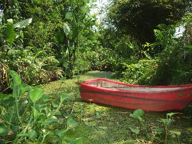 Holiday House in Chiang Mai (Chiang Mai) or holiday homes and vacation rentals