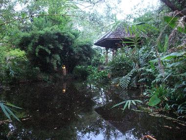 Holiday House in Chiang Mai (Chiang Mai) or holiday homes and vacation rentals