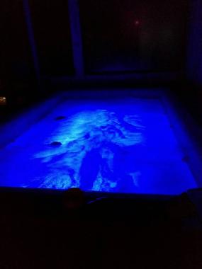 Chalet in Bradulet (Arges) or holiday homes and vacation rentals