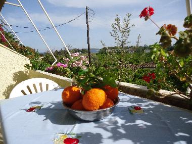 Holiday Apartment in Nafplio (Argolida) or holiday homes and vacation rentals