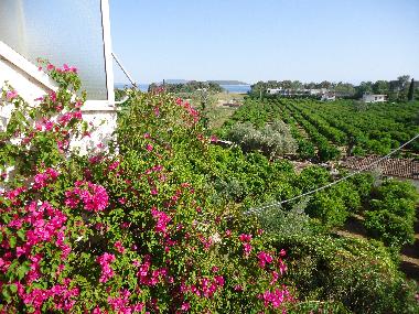 Holiday Apartment in Nafplio (Argolida) or holiday homes and vacation rentals