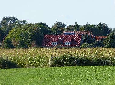 Holiday Apartment in Butjadingen (Nordsee-Festland / Ostfriesland) or holiday homes and vacation rentals