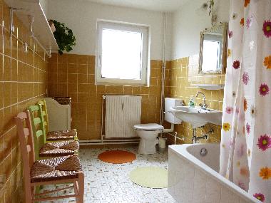 Holiday Apartment in Butjadingen (Nordsee-Festland / Ostfriesland) or holiday homes and vacation rentals