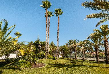 Holiday House in Verdizela (Grande Lisboa) or holiday homes and vacation rentals