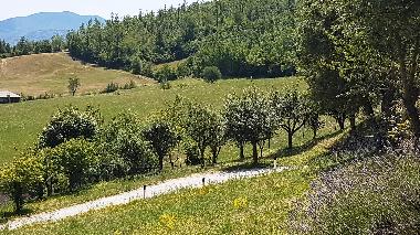 Villa in Casaldonato (Piacenza) or holiday homes and vacation rentals