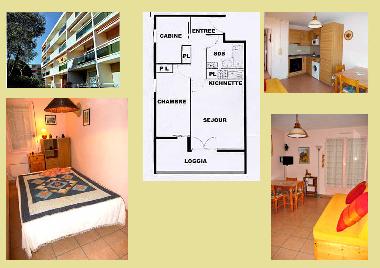 Holiday Apartment in Bormes les Mimosas (Var) or holiday homes and vacation rentals